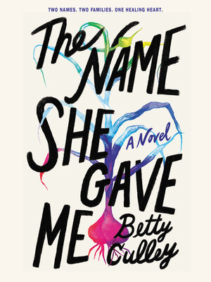 cover image of The Name She Gave Me